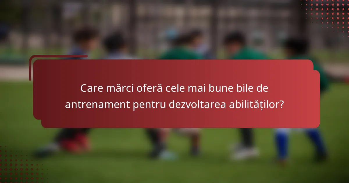 Care mărci oferă cele mai bune bile de antrenament pentru dezvoltarea abilităților?