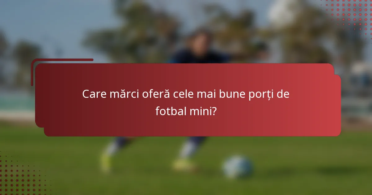 Care mărci oferă cele mai bune porți de fotbal mini?