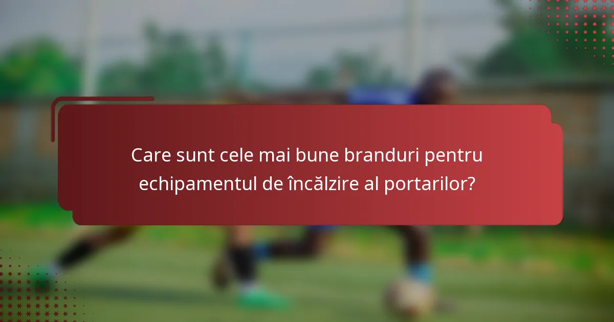 Care sunt cele mai bune branduri pentru echipamentul de încălzire al portarilor?