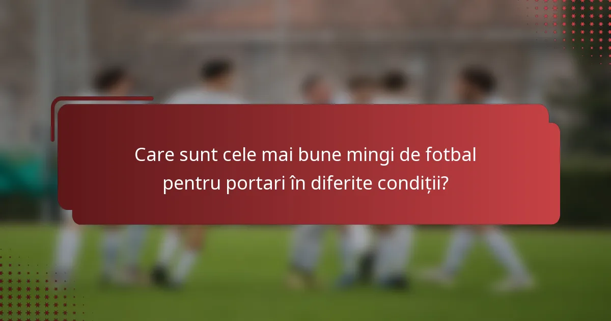 Care sunt cele mai bune mingi de fotbal pentru portari în diferite condiții?