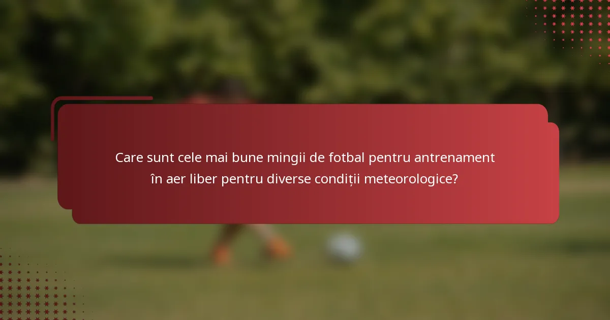 Care sunt cele mai bune mingii de fotbal pentru antrenament în aer liber pentru diverse condiții meteorologice?