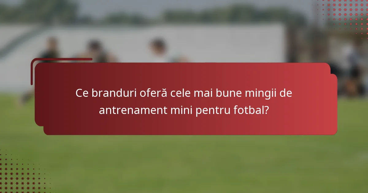 Ce branduri oferă cele mai bune mingii de antrenament mini pentru fotbal?