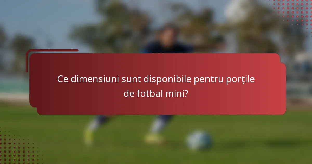 Ce dimensiuni sunt disponibile pentru porțile de fotbal mini?
